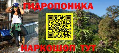 мдпв Рузаевка