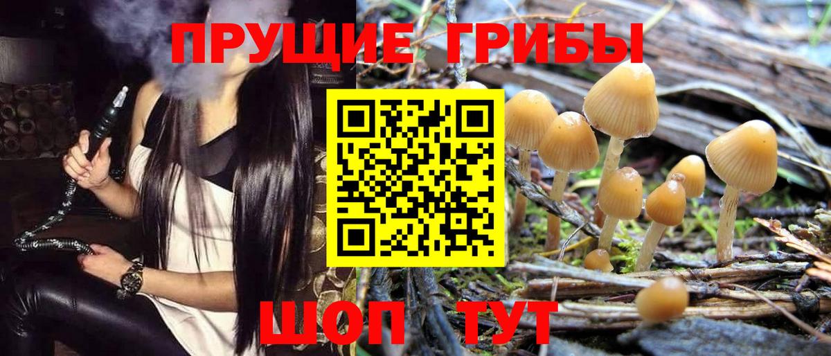 Рузаевка  Галлюциногенные грибы Magic Shrooms  Вход с VPN 