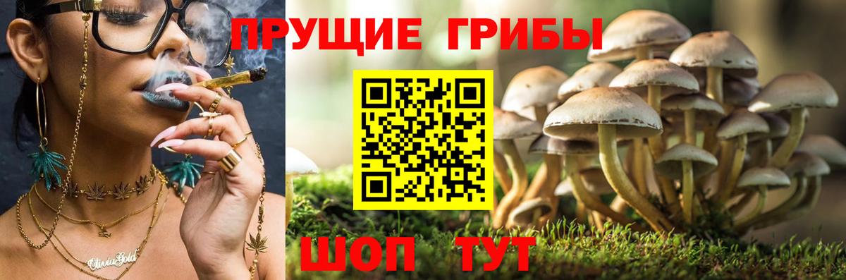 Галлюциногенные грибы мицелий Рузаевка